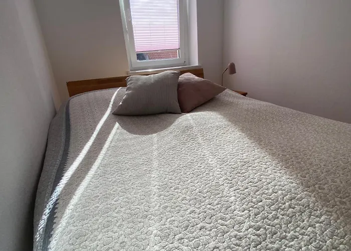 Zum Feigenbaum Weißenfels