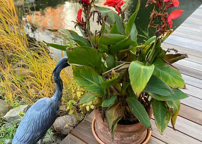 Bed & Breakfast Zum Feigenbaum Weißenfels